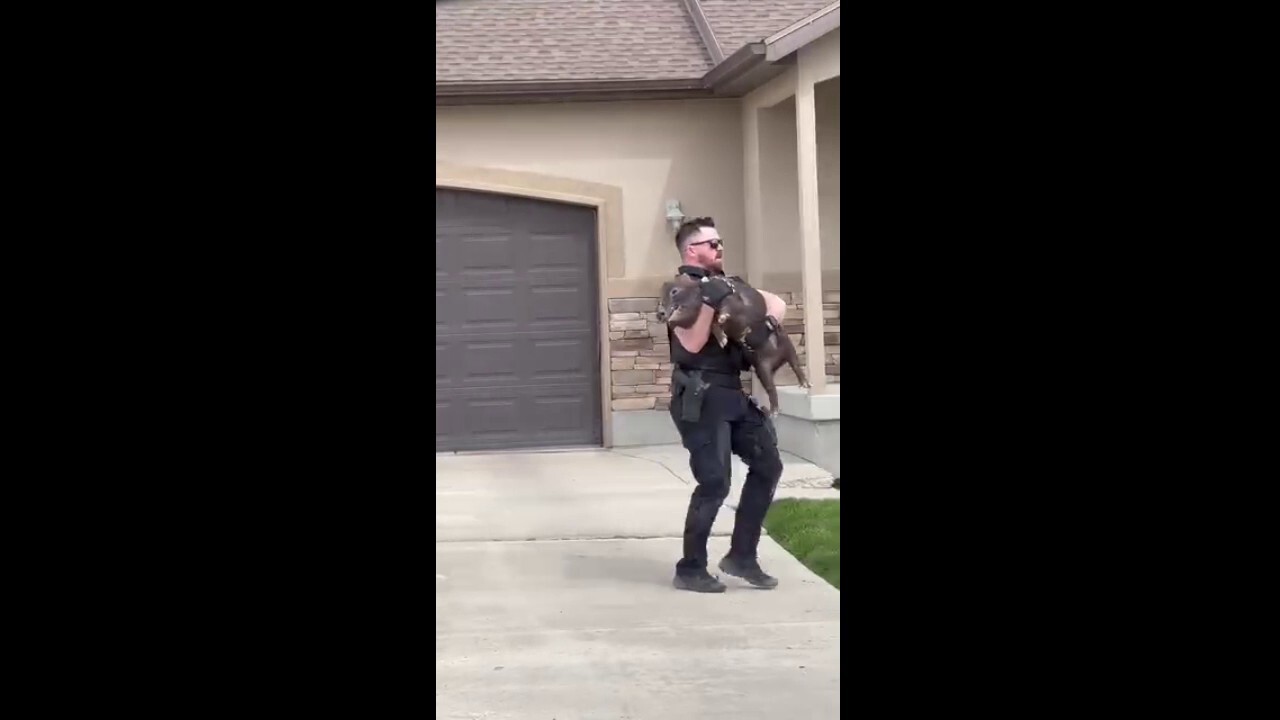 Police officer tackles runaway pig in neighborhood