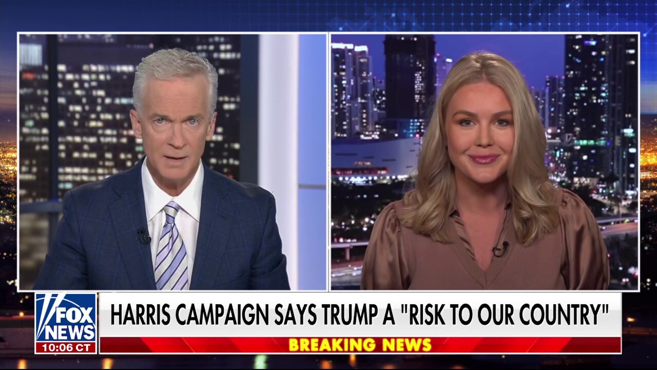 Karoline Leavitt wants Dems to 'look in the mirror' after 'disgusting' comments against Trump