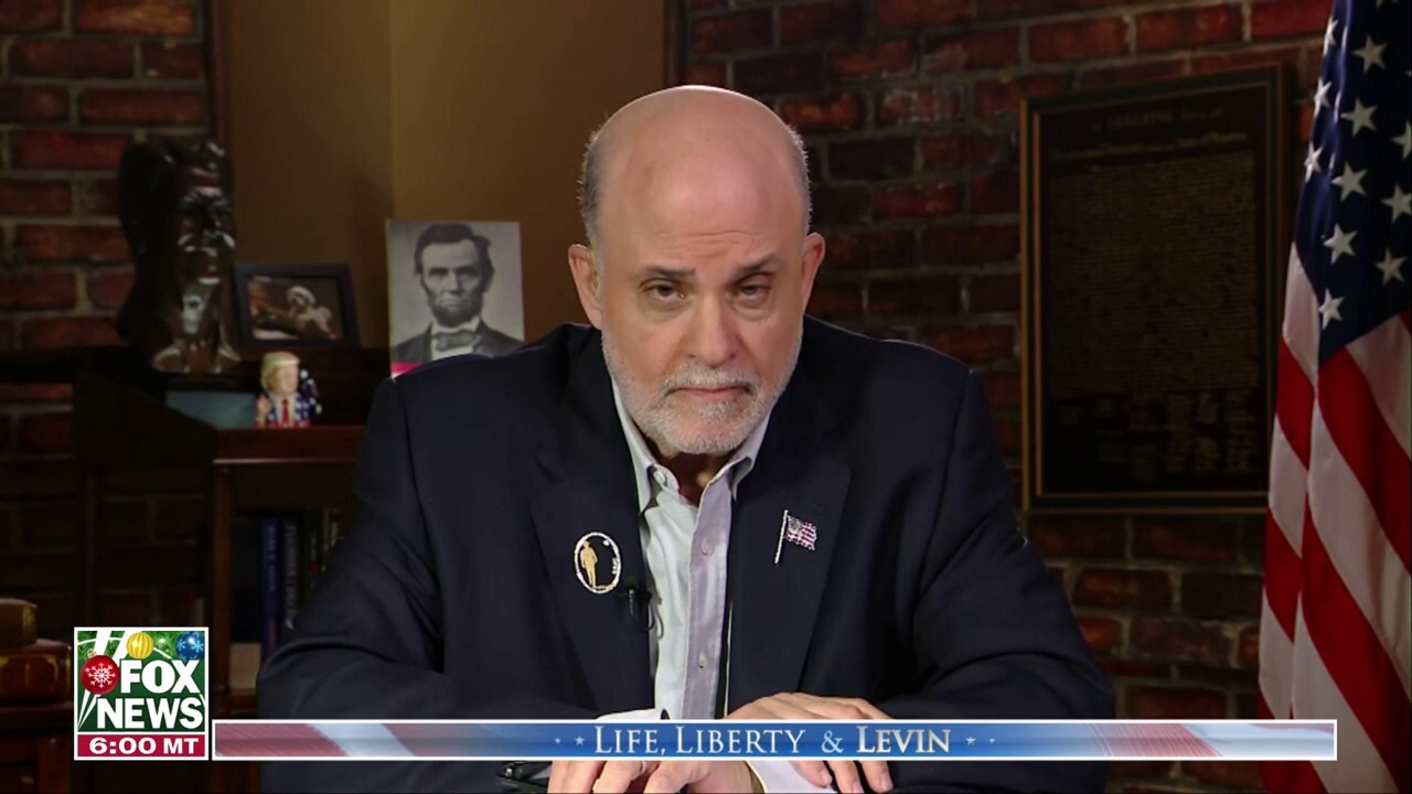 We are creating an economic and societal catastrophe, says Mark Levin