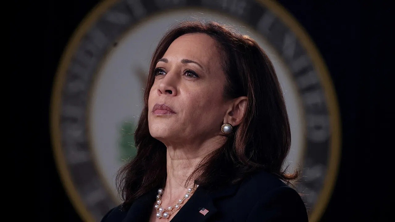 Kamala Harris has 'no credibility' on immigration: Former U.S. Border Patrol chief