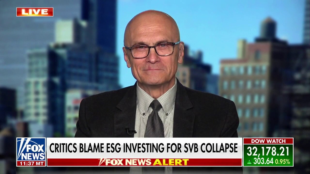 Andy Puzder: No way the taxpayers don't pay for this