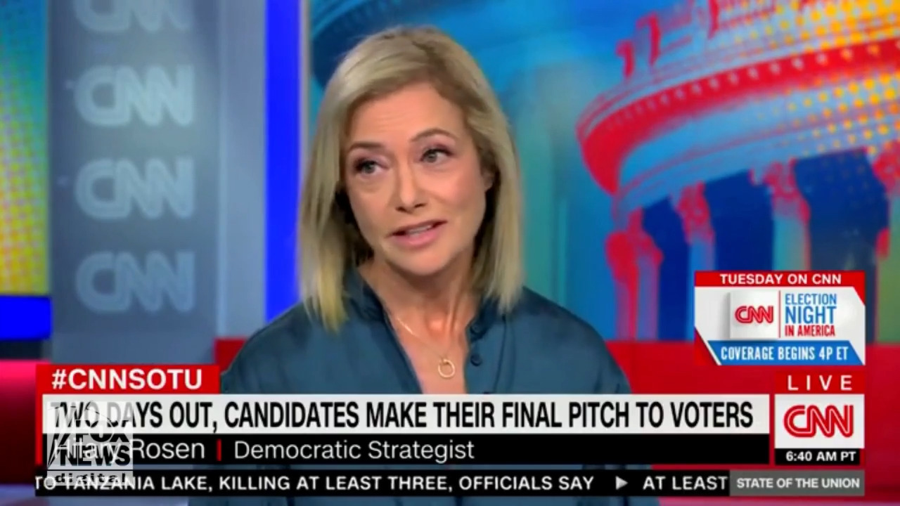 Democratic strategist says the party didn't listen to voters this election: 'We're going to have a bad night'