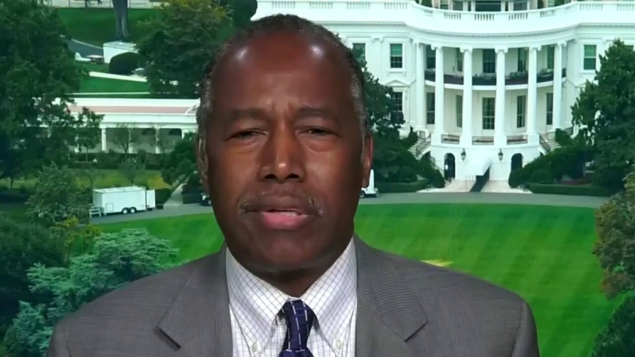 Dr. Carson's message to protesters: 'Stop listening to purveyors of hatred'