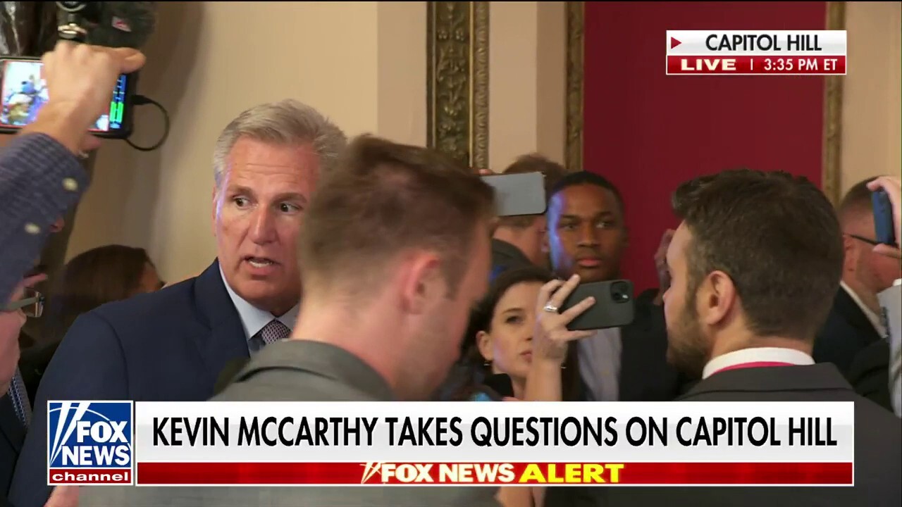 Kevin McCarthy on government funding battle: 'This is just a challenge to overcome'