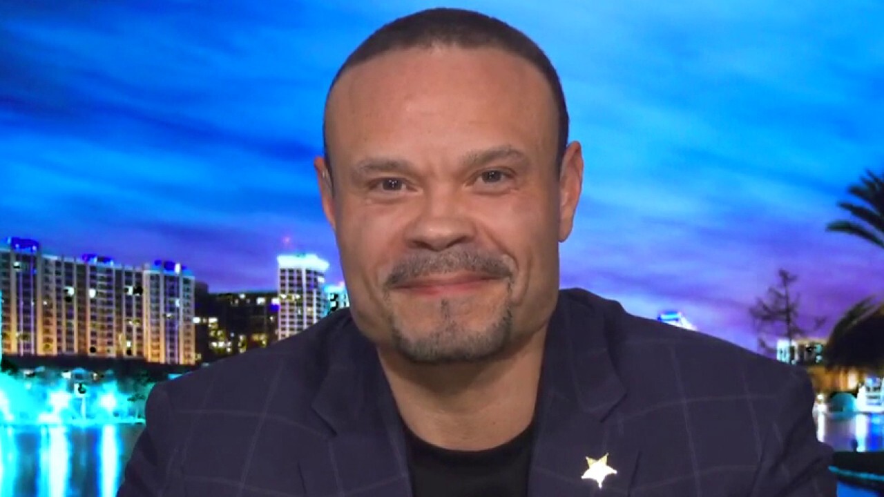 Image result for Dan Bongino on media analysts reportedly signing petition urging Barr to resign: 'The left is psychotic'
