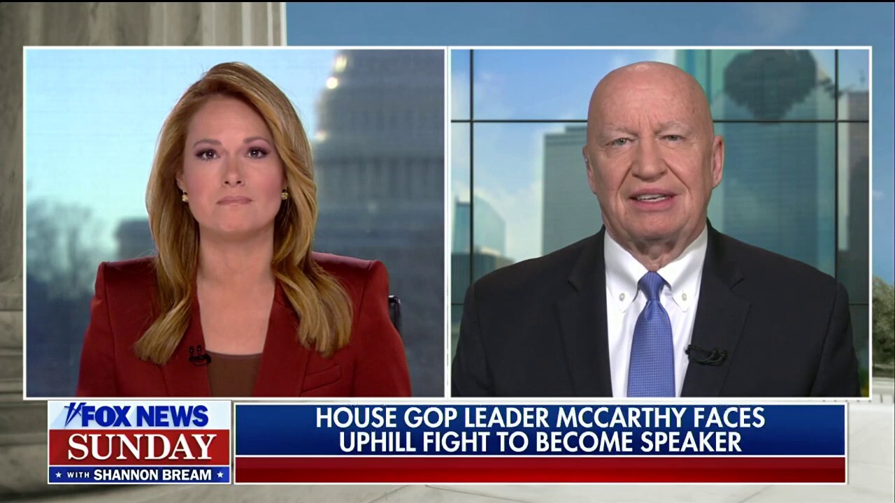 Rep. Kevin Brady on George Santos' alleged deception: 'I'm hopeful he chooses the right path'