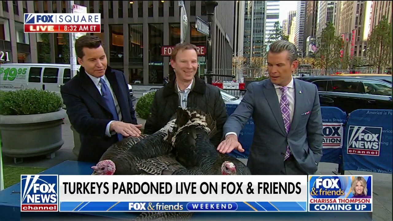 'Fox & Friends Weekend' cohosts pardon turkeys ahead of Thanksgiving