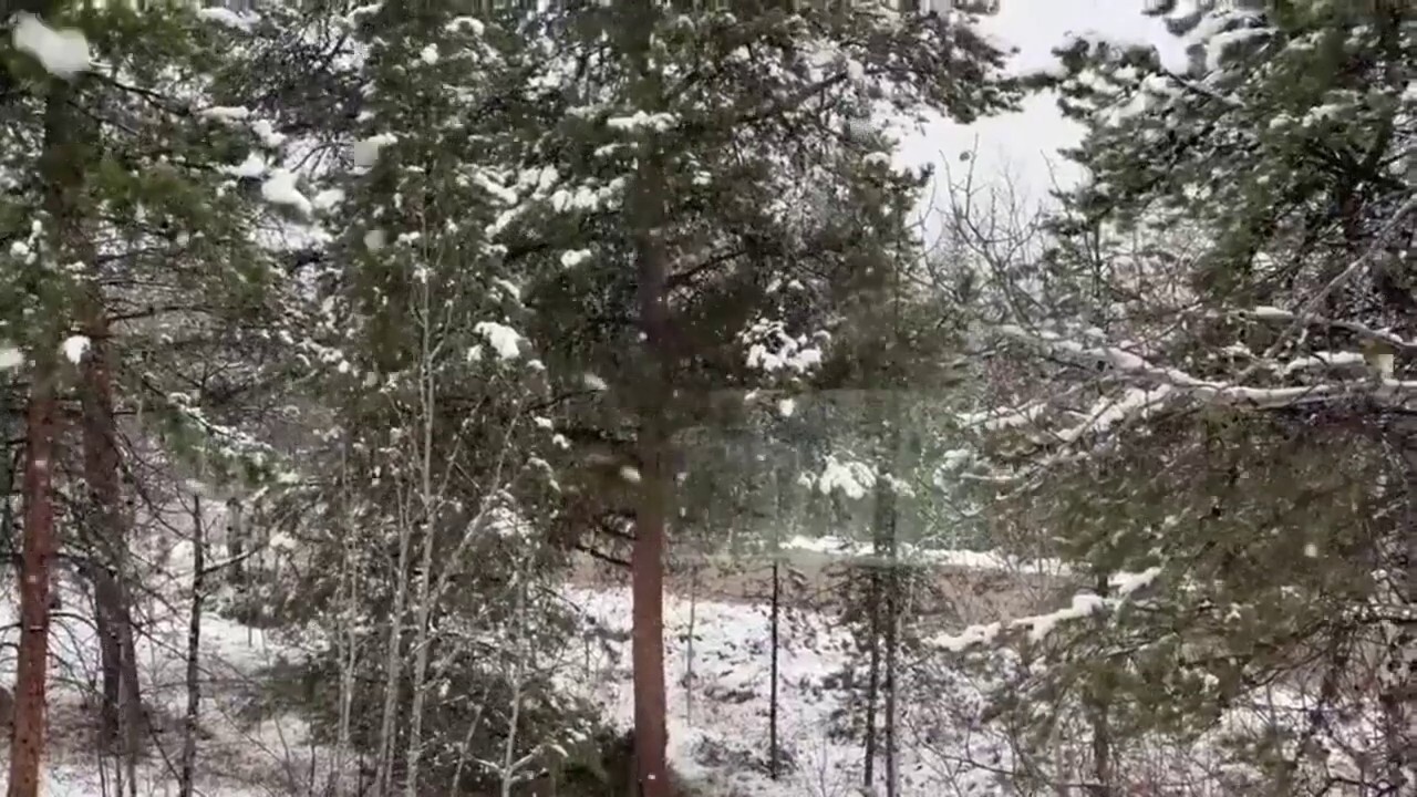 Colorado resident captures first snowfall of the season