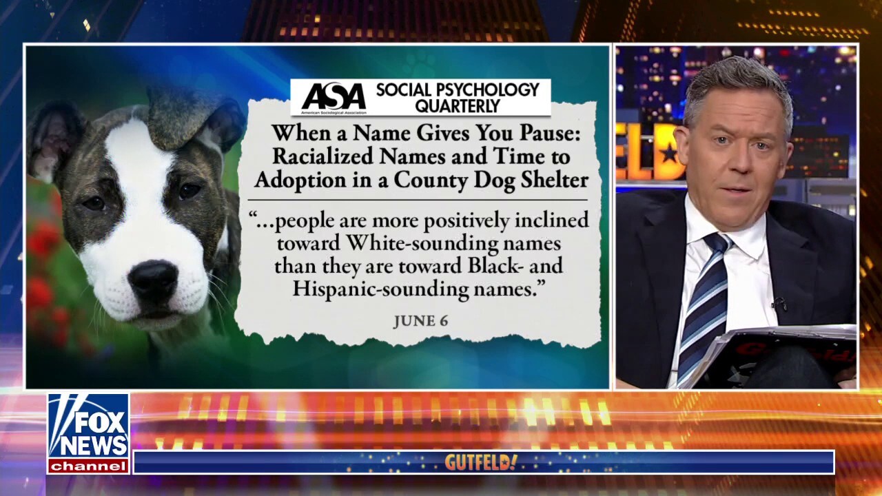 New medical study claims 'white-sounding' dog names are racist