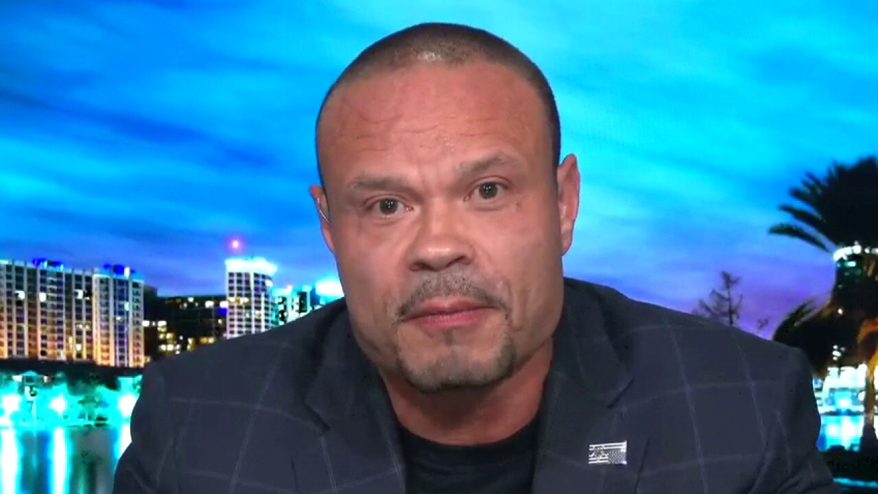Bongino to Pelosi: Get out of your bubble, people need to feed their families