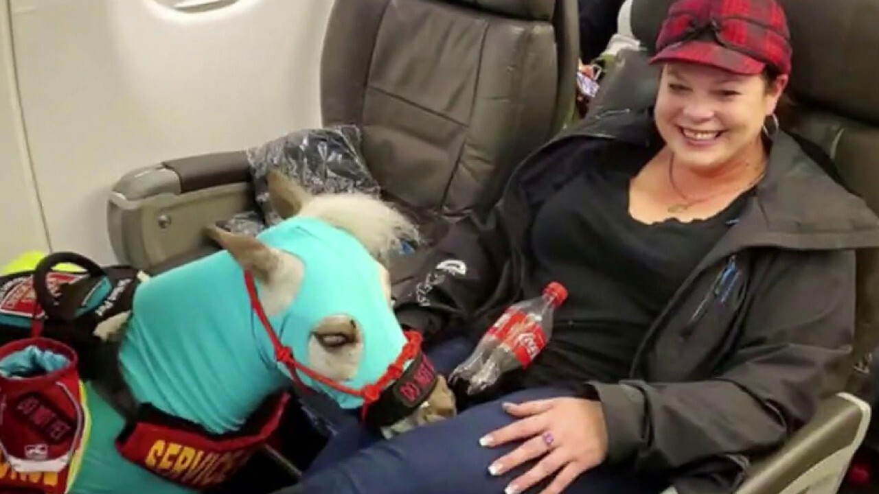Emotional Support Animals Will No Longer Be Considered Service Animals