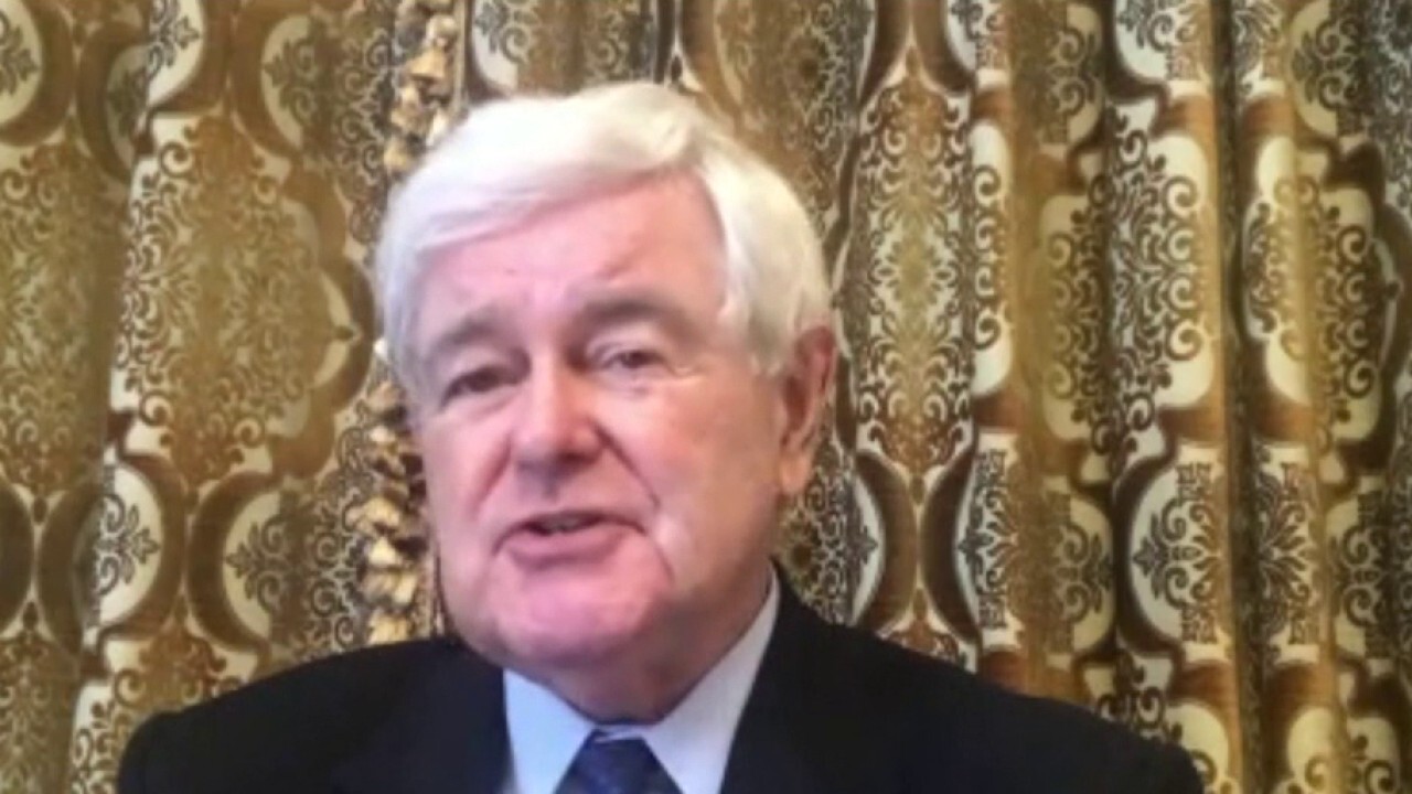Newt on red state vs blue state job creation: Will be one of most vivid gaps in American history