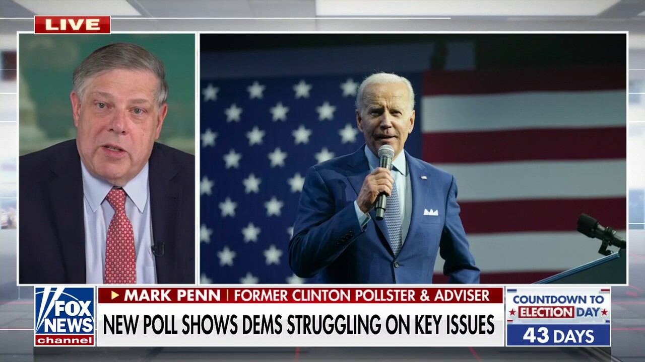 Former Clinton pollster: Chances of Biden re-election bid are 'nil' if Republicans win in midterms