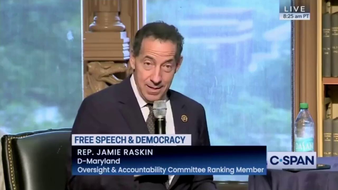 Rep. Jamie Raskin slams Electoral College as an 'obsolete' and deadly system