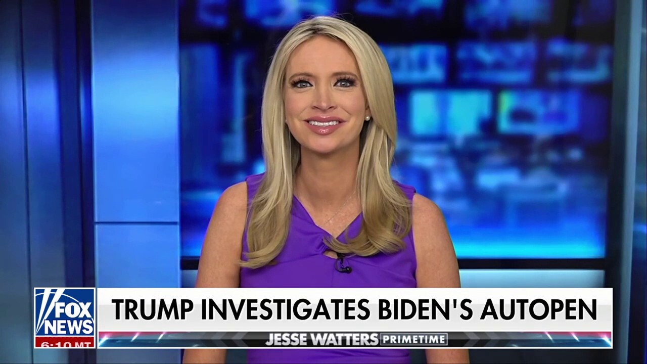 Liberal media has backed themselves into a corner, says Kayleigh McEnany