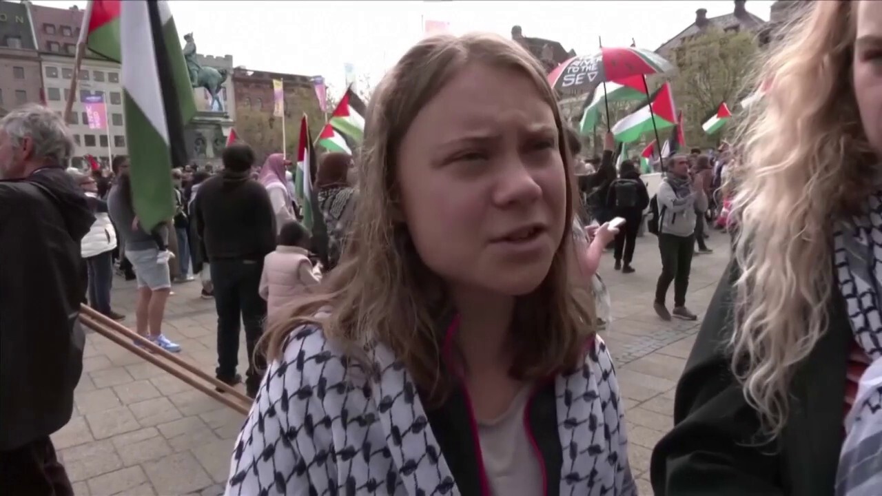 Greta Thunberg supports anti-Israel protests 'everywhere'
