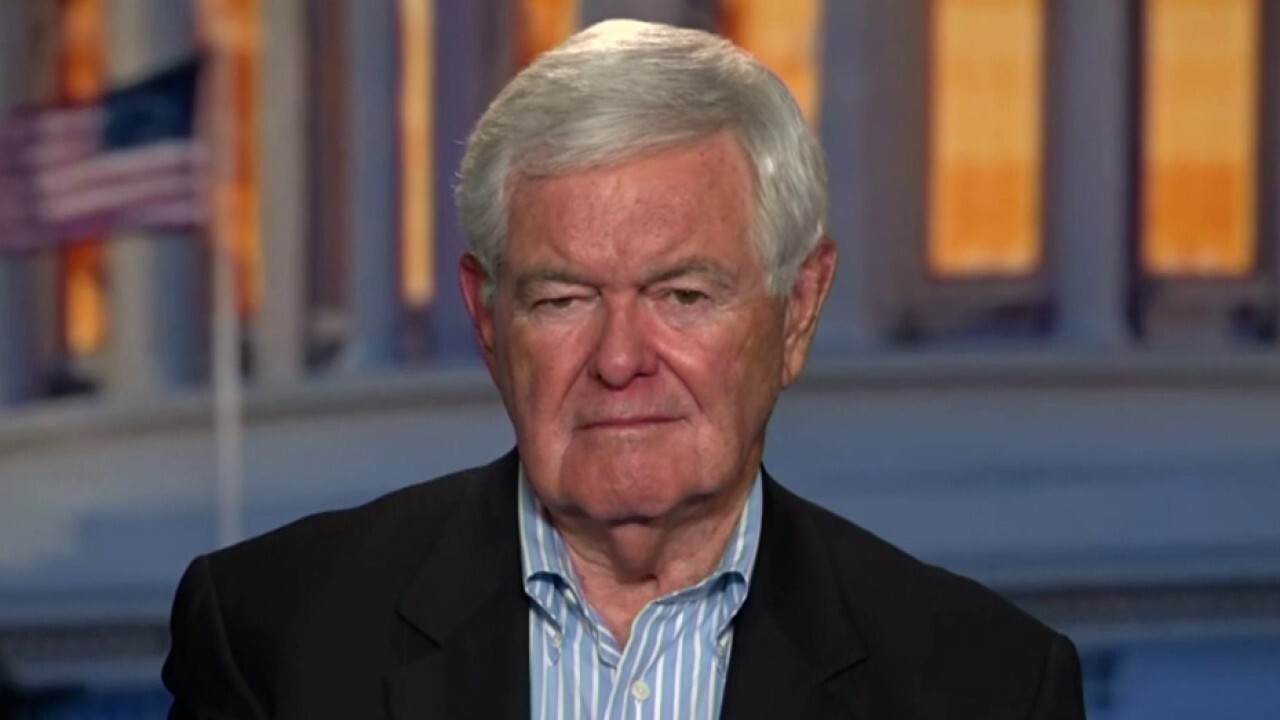 Newt Gingrich: Undecided voters 'overwhelmingly' believe Kamala Harris is much more radical than Trump