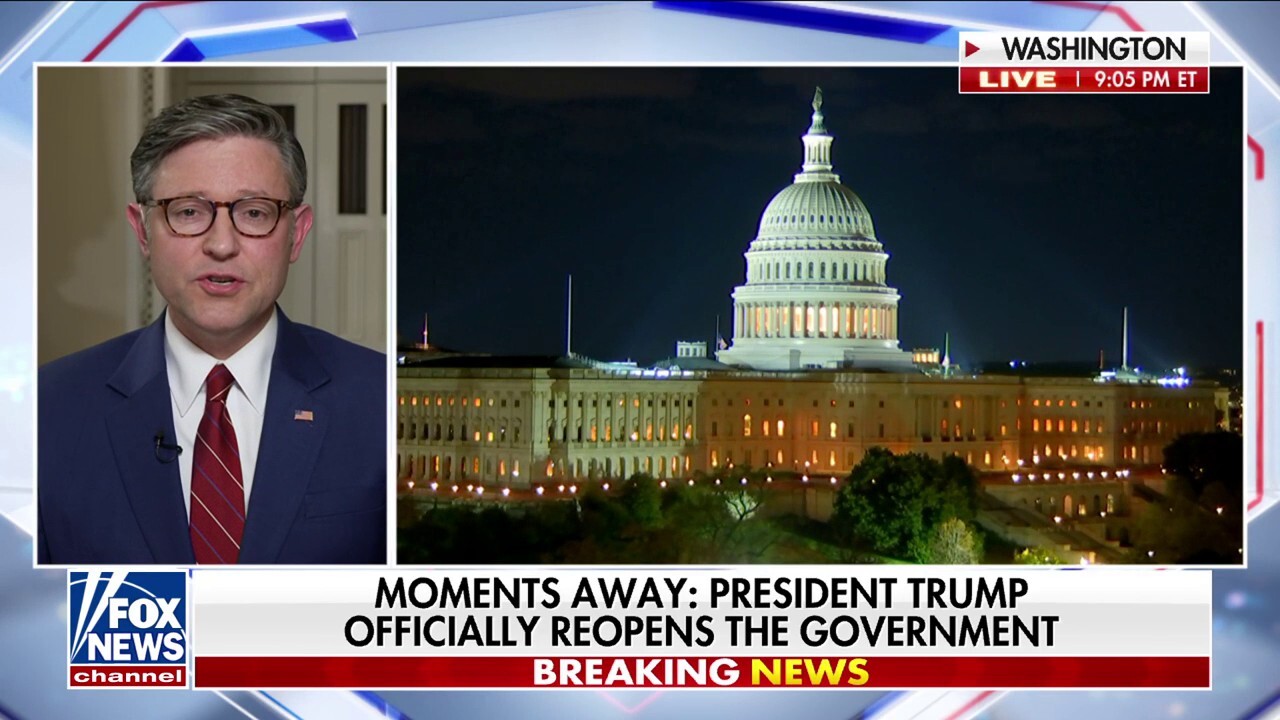 Speaker Johnson calls shutdown ‘selfish political stunt’ after House votes to reopen government