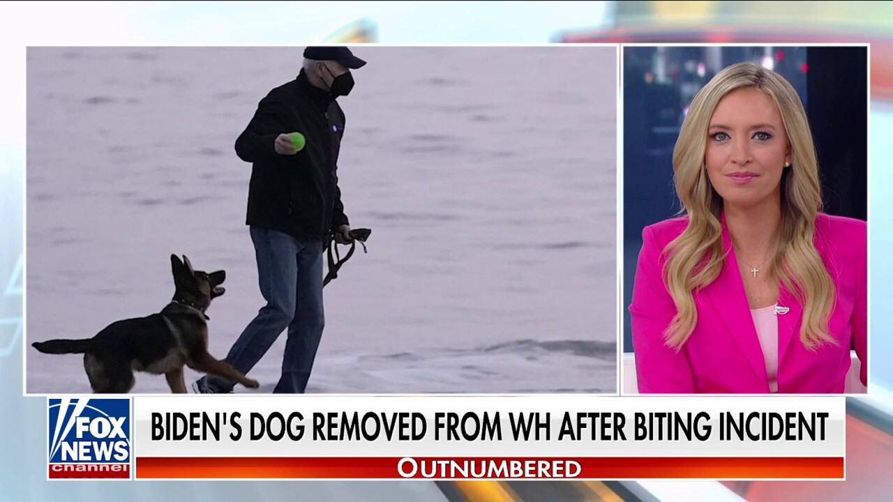 Записите показват, че кучето на Байдън, Командир, е нападнало членове на Тайните служби на САЩ най-малко 24 пъти
