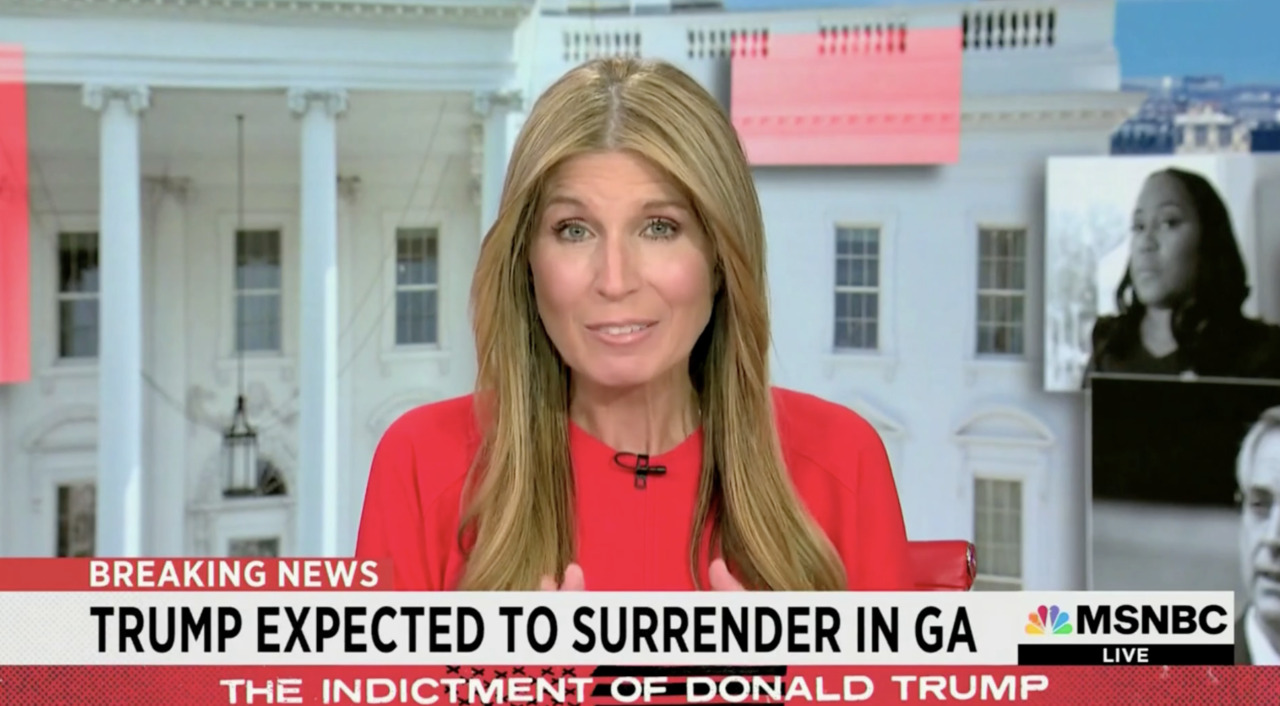 Nicolle Wallace gleeful over Trump being booked into jail where people have been stabbed