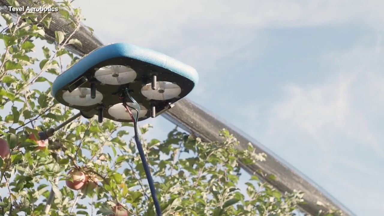 Just when you've seen it all... flying fruit-picking robots take flight