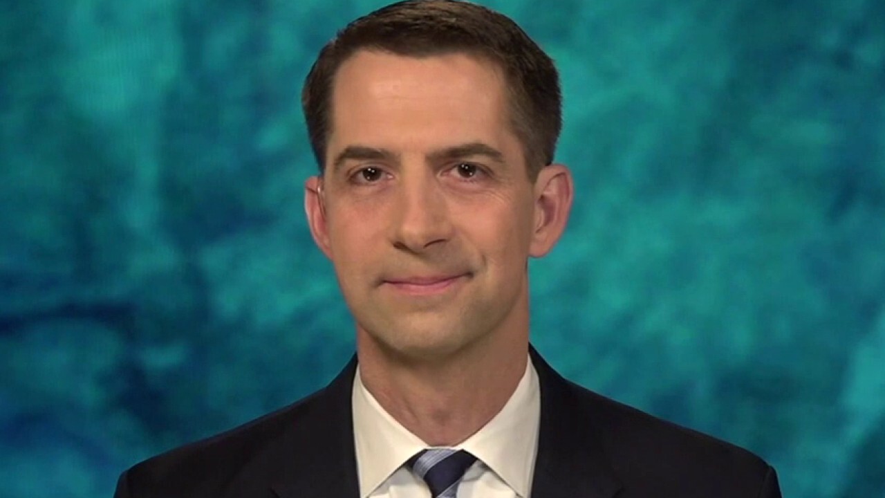 Sen. Tom Cotton: Biden immigration policy is 'recruit and release'