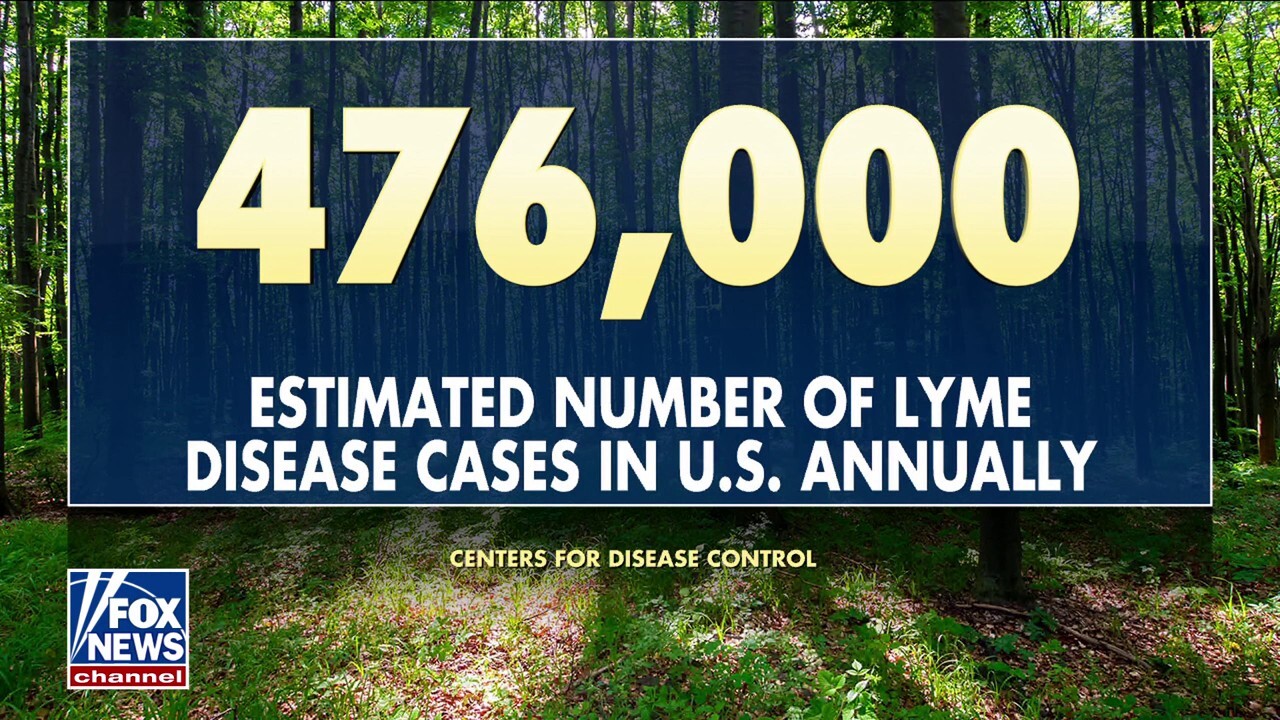 Health officials warn of increased risk from ticks, tick-borne diseases
