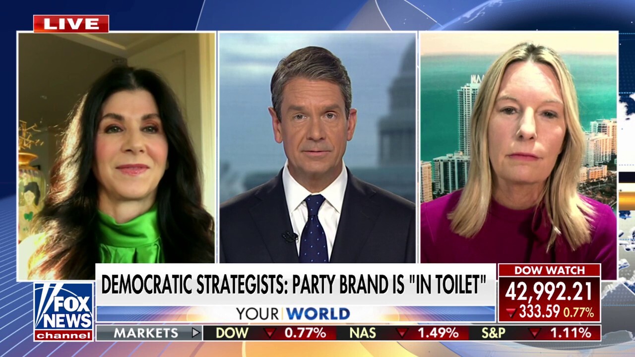 'Woke' Democrats ‘aren’t cutting it’ with the American people, GOP strategist says