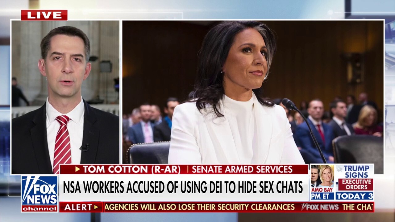 Sen. Tom Cotton reacts to lewd NSA chats: 'We don't want these people anywhere near classified information'