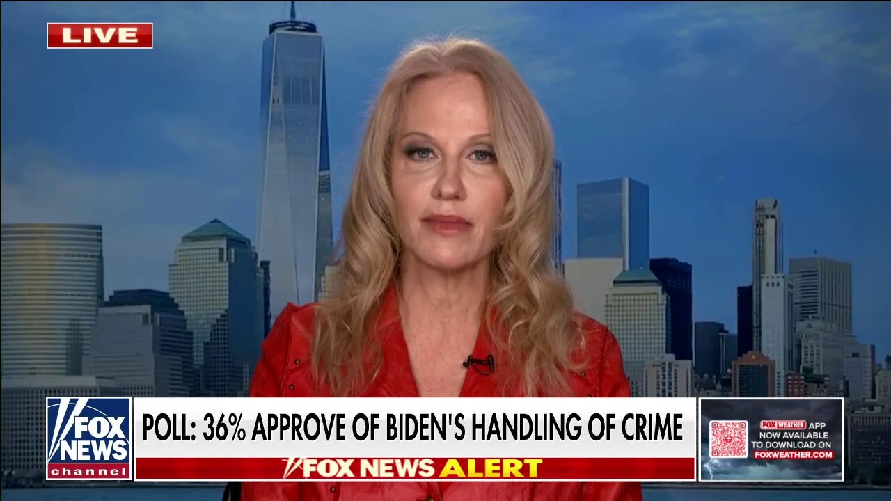 Kellyanne Conway: Independents are against Joe Biden on crime and ‘nobody is happy’