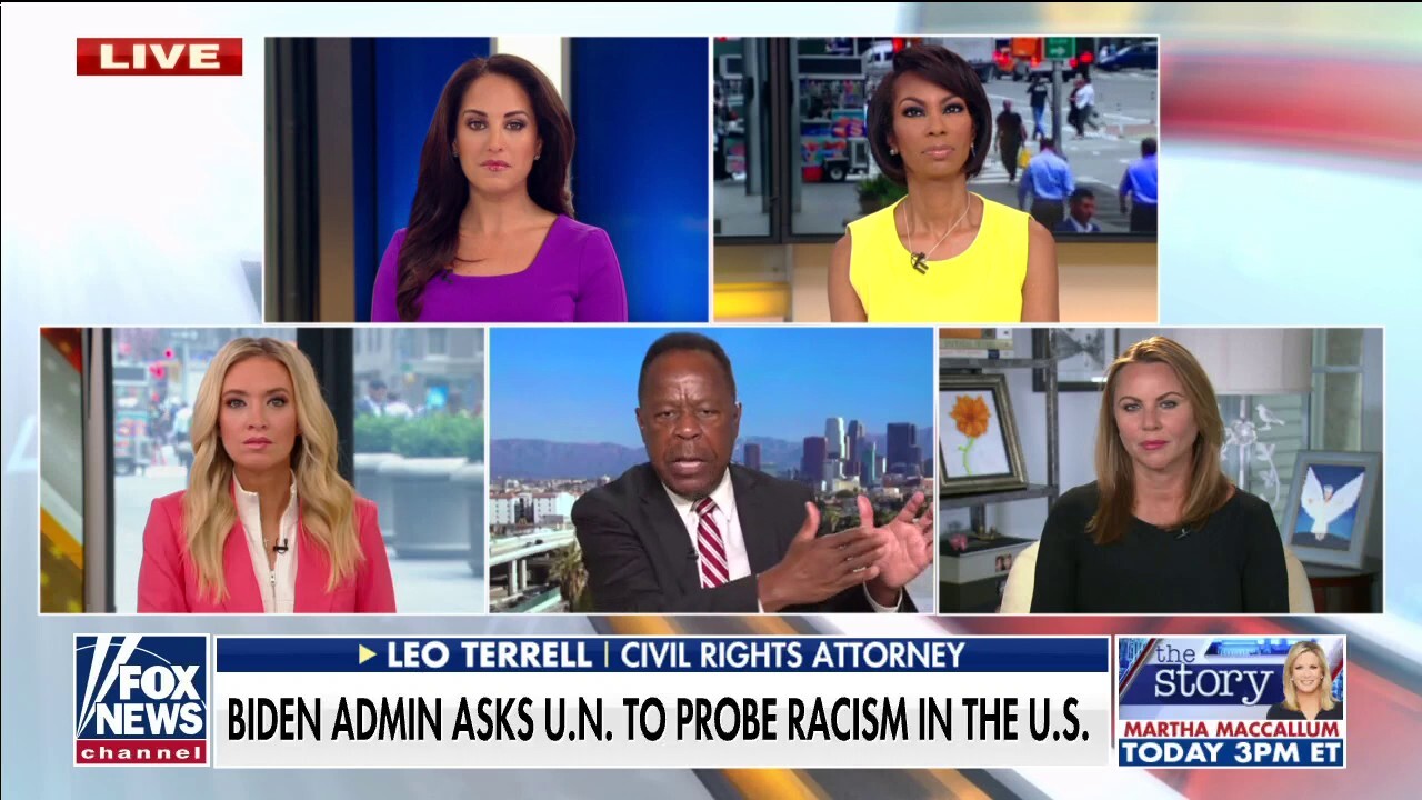 Leo Terrell torches Biden admin for requesting UN probe racism in America: ‘Tearing this country up by race’