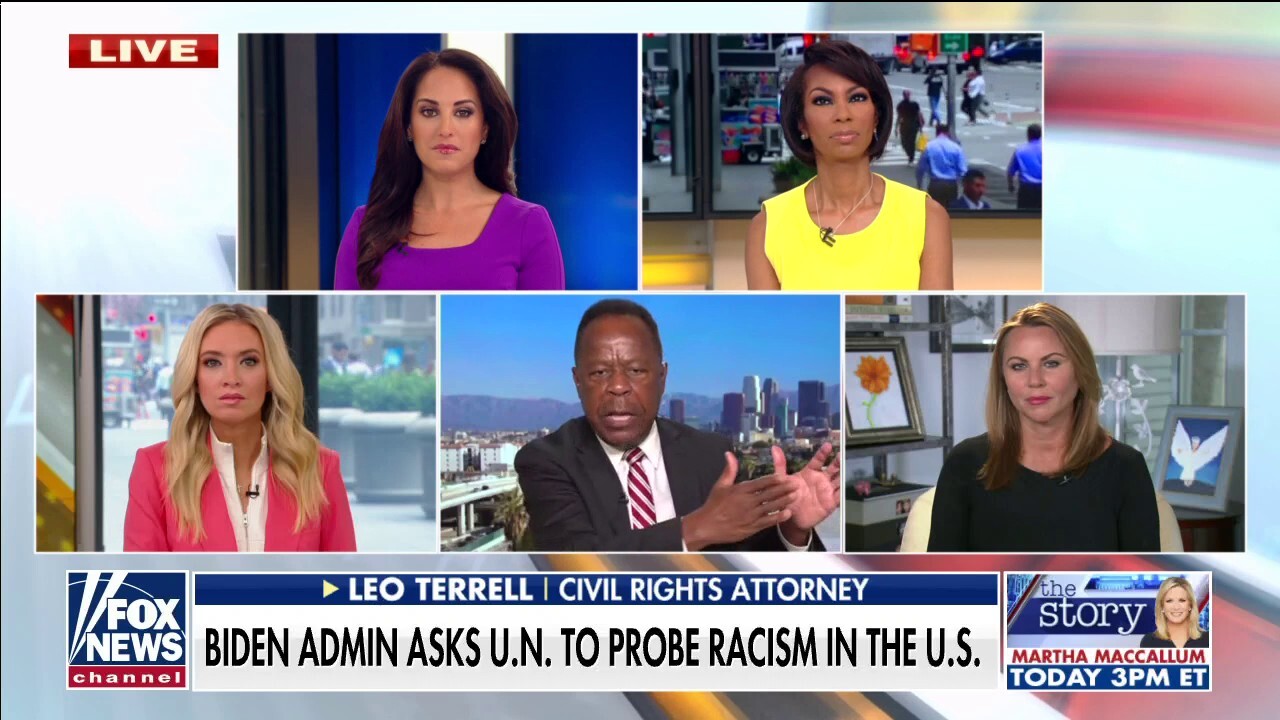 Leo Terrell slams Biden admin's 'sham' request to UN to probe racism America