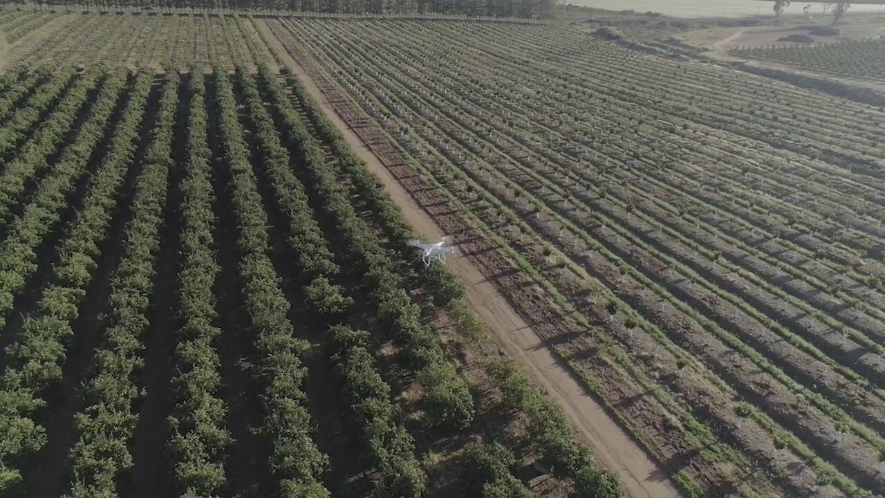 South African drone company uses AI to help farmers