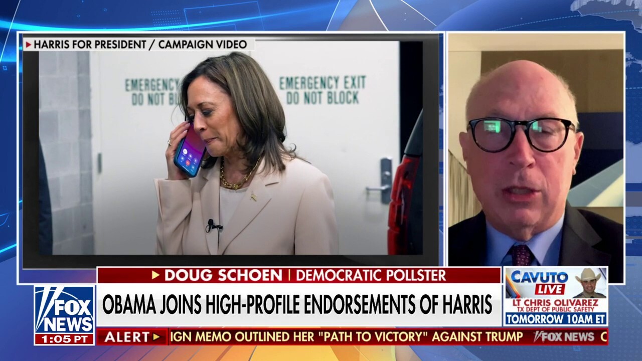Democratic pollster Doug Schoen says it's 'political theater' and recent favorable polling for Vice President Kamala Harris is a 'honeymoon period' on 'Your World.'