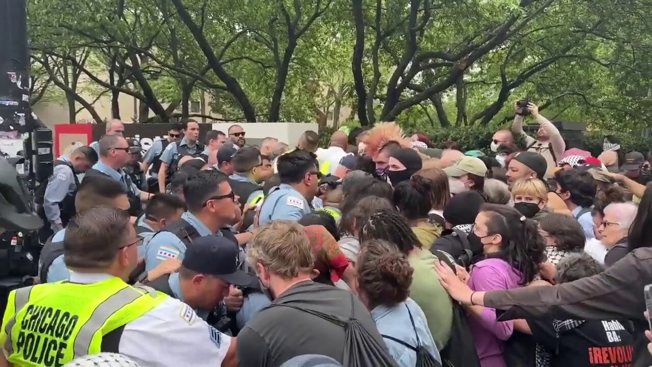 Anti-Israel protesters arrested after breaking into Chicago Art Institute building