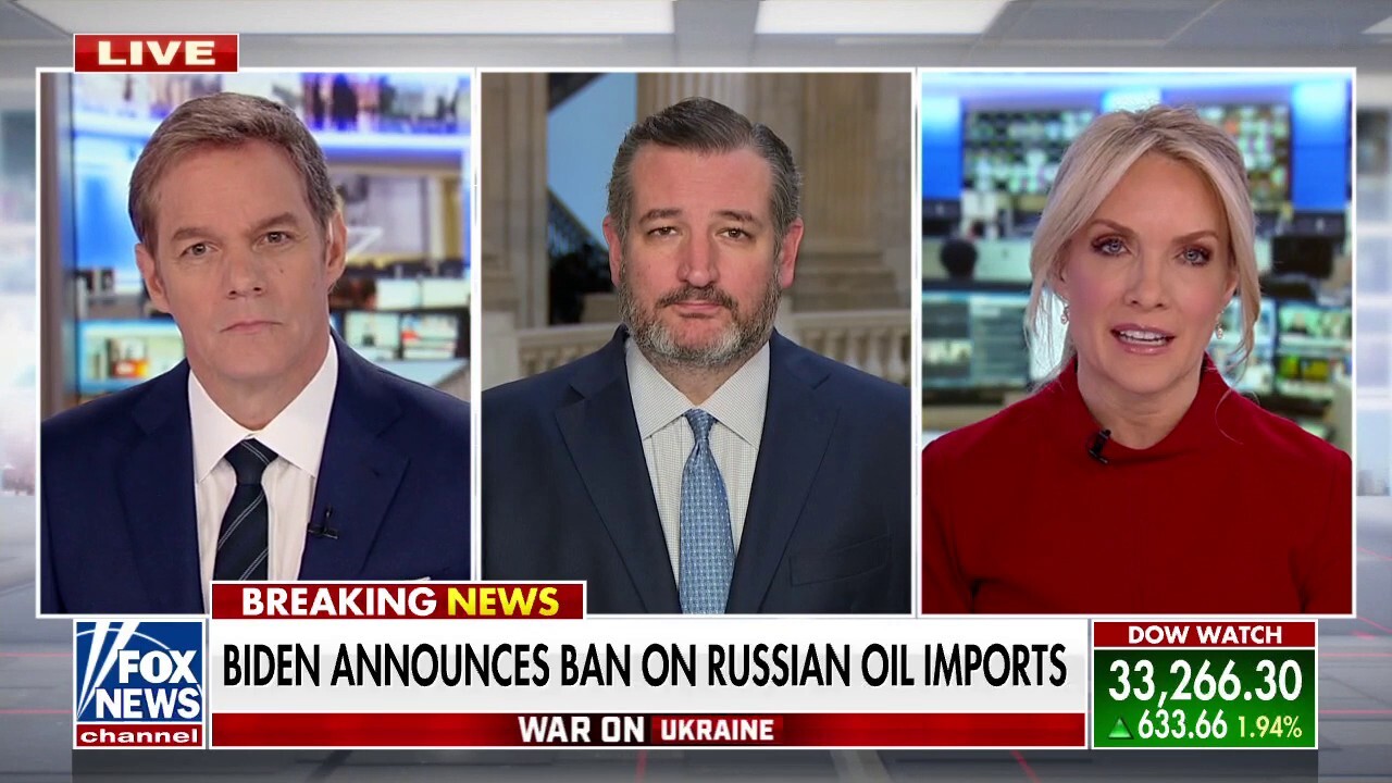 Sen. Ted Cruz: US can provide 'offensive weaponry,' unleash American energy to help Ukraine win war