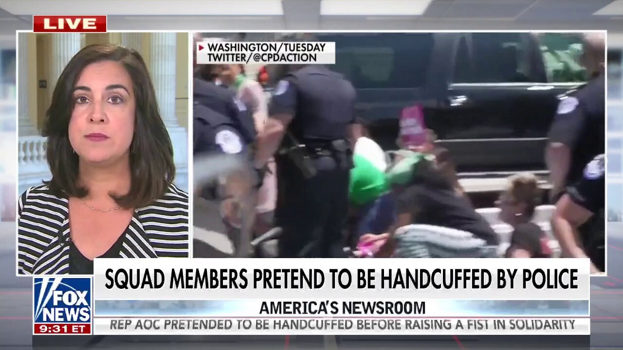 Rep. Malliotakis blasts AOC, Omar: They think being arrested helps them politically