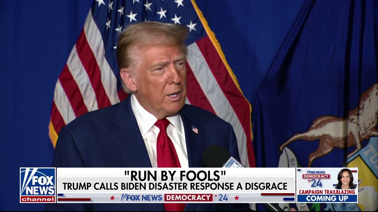  Trump: The country is being run by fools