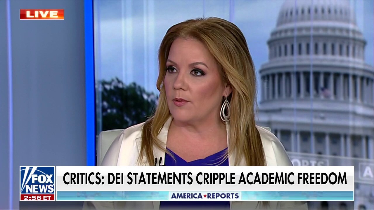 Mollie Hemingway: Americans see racism in diversity, equity, inclusion mantra