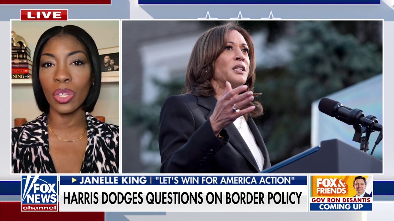 Kamala Harris has an 'inability' to take responsibility for border crisis: Janelle King