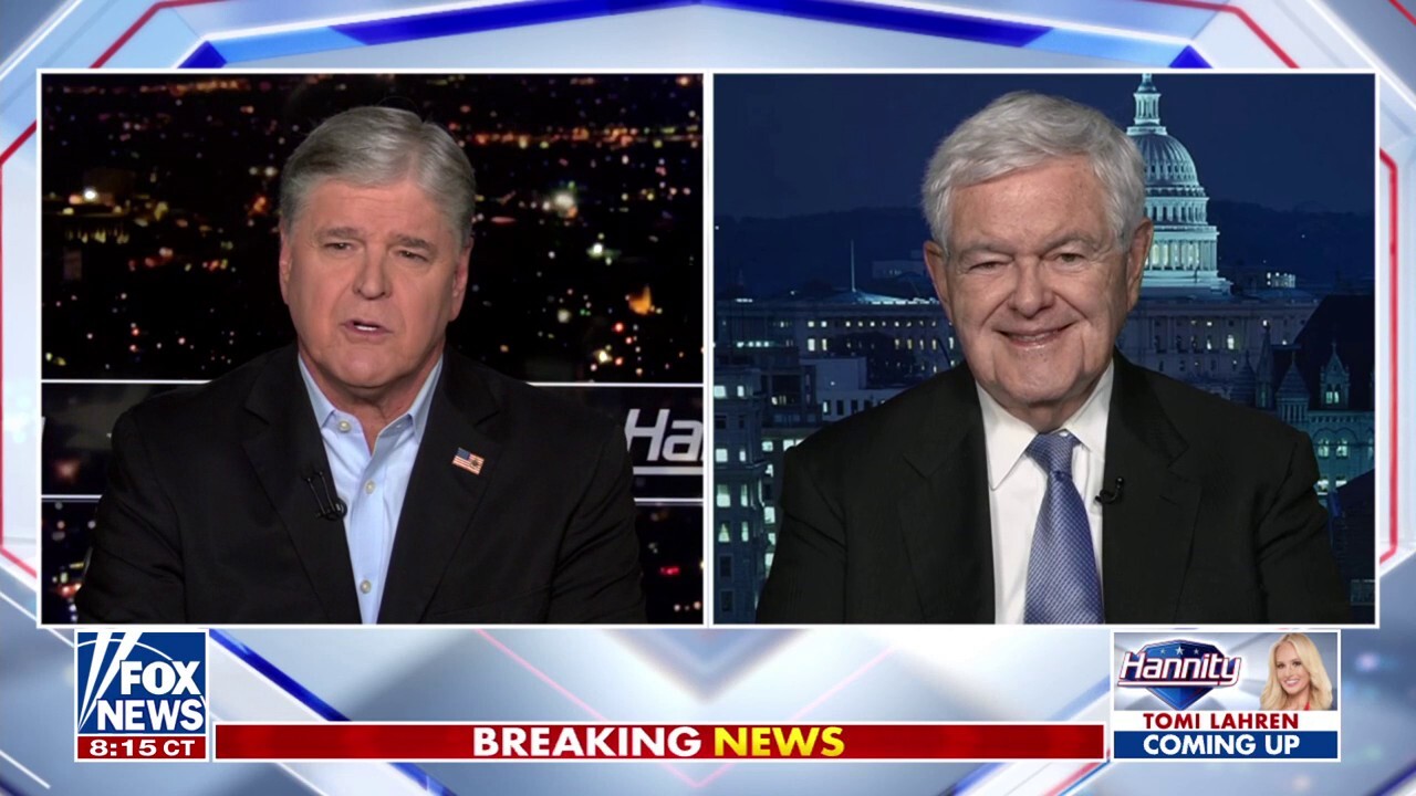  Newt Gingrich: Trump and Netanyahu will change history decisively