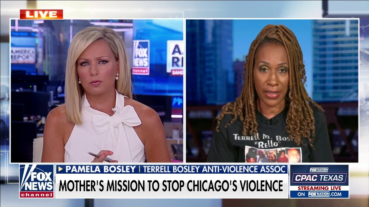 Chicago Mother Of Murdered Son Speaks Out On Gun Violence Fox News Video