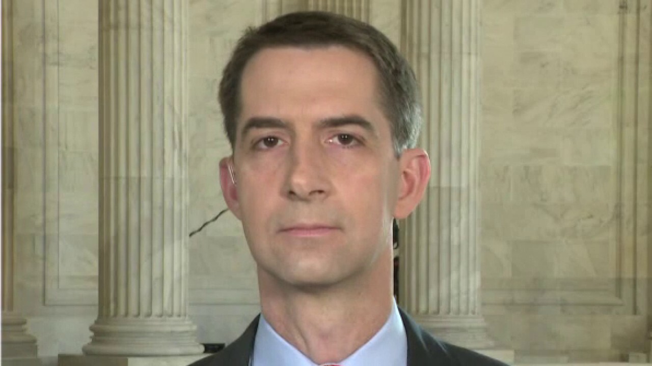 Tom Cotton: Hunter Biden investigation appears to be far-reaching