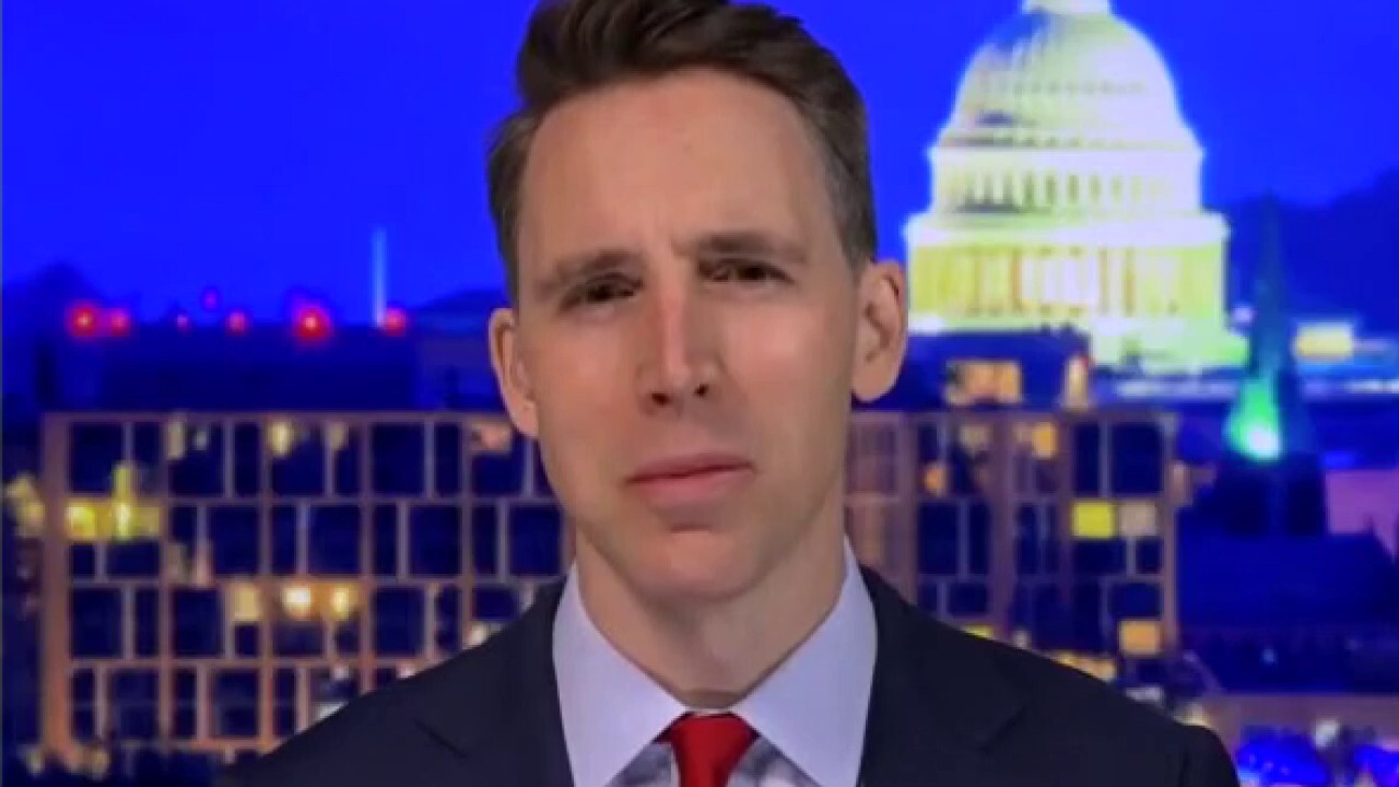 Hawley: Democrats want big corporations to act as 'the hand of government'