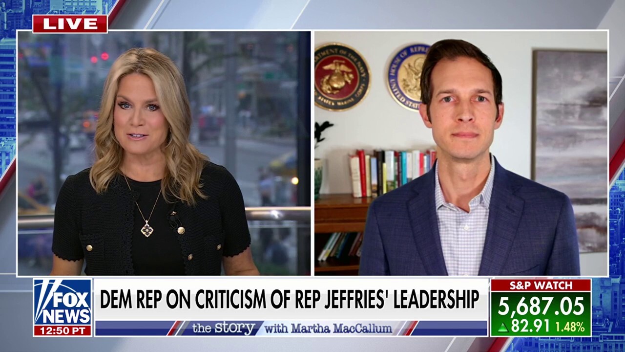 These midterms will be about the economy, healthcare and corruption, Rep. Jake Auchincloss says