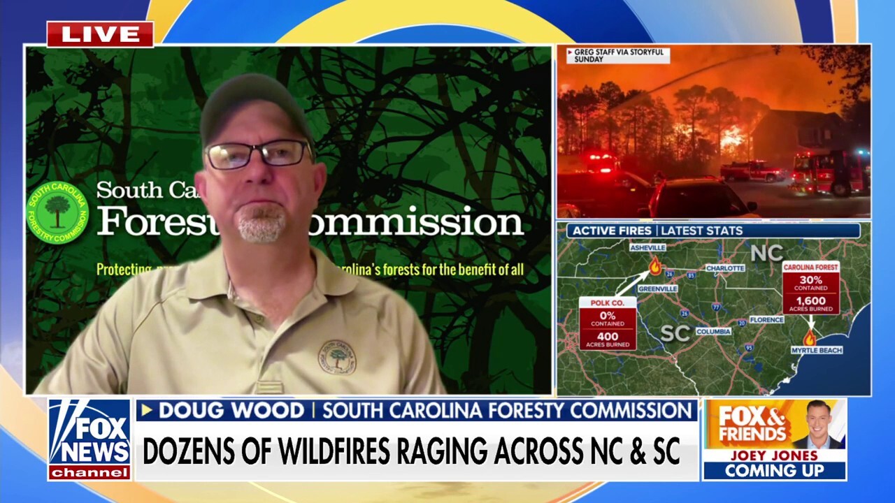 Nearly 200 wildfires rage across Carolinas burning thousands of acres