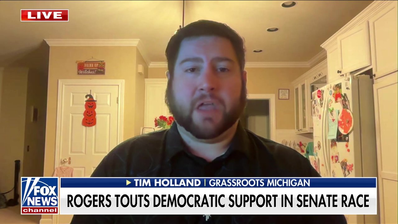 Democrats 'more vulnerable' as Michigan Senate race remains a toss-up