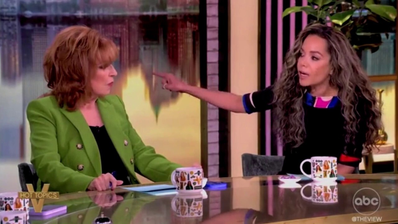 Hosts of 'The View' argue about Democratic Party infighting, whether Schumer is fighting for Americans