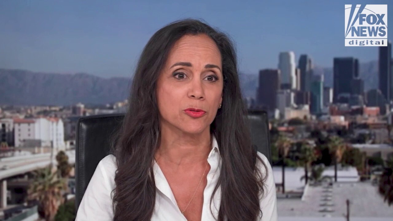Top LA Republican dives into political reaction of ICE raids: 'Same emotional notes'