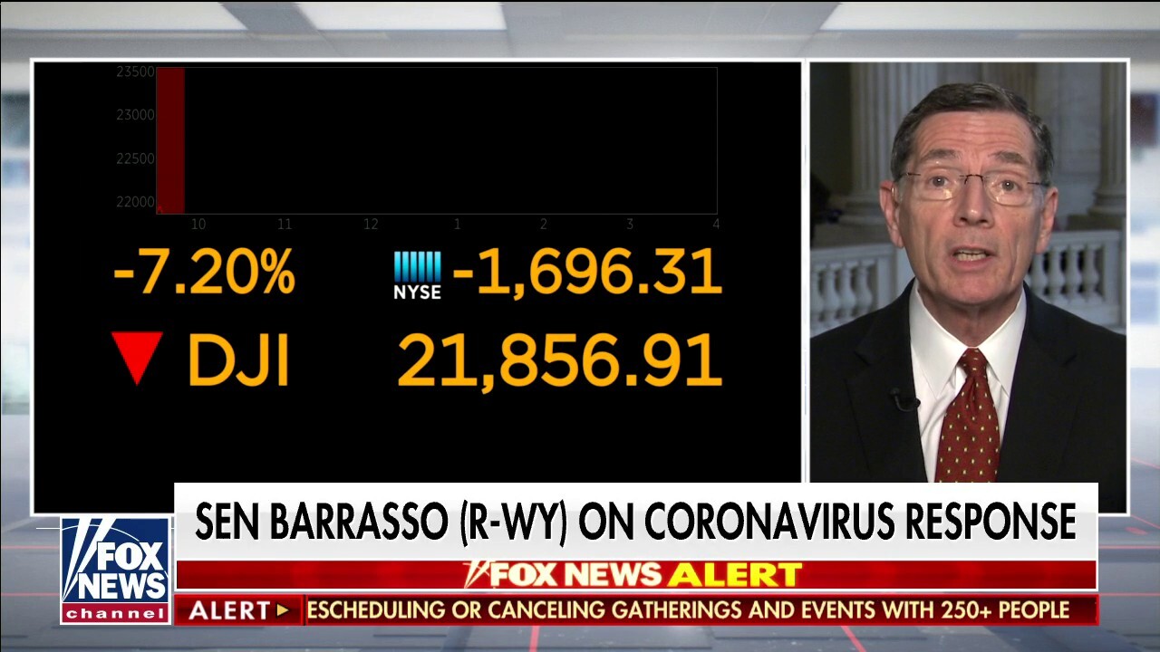 Sen. Barrasso on COVID-19 testing: CDC testing kits 'not there yet'